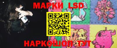 индика Ставрополь