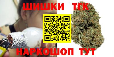 индика Ставрополь