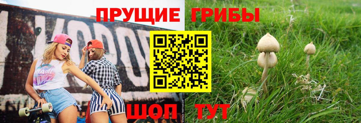 Псилоцибиновые грибы GOLDEN TEACHER Отрадный